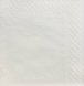 Paper napkins Papero 240x240 2 layers white 200 pcs